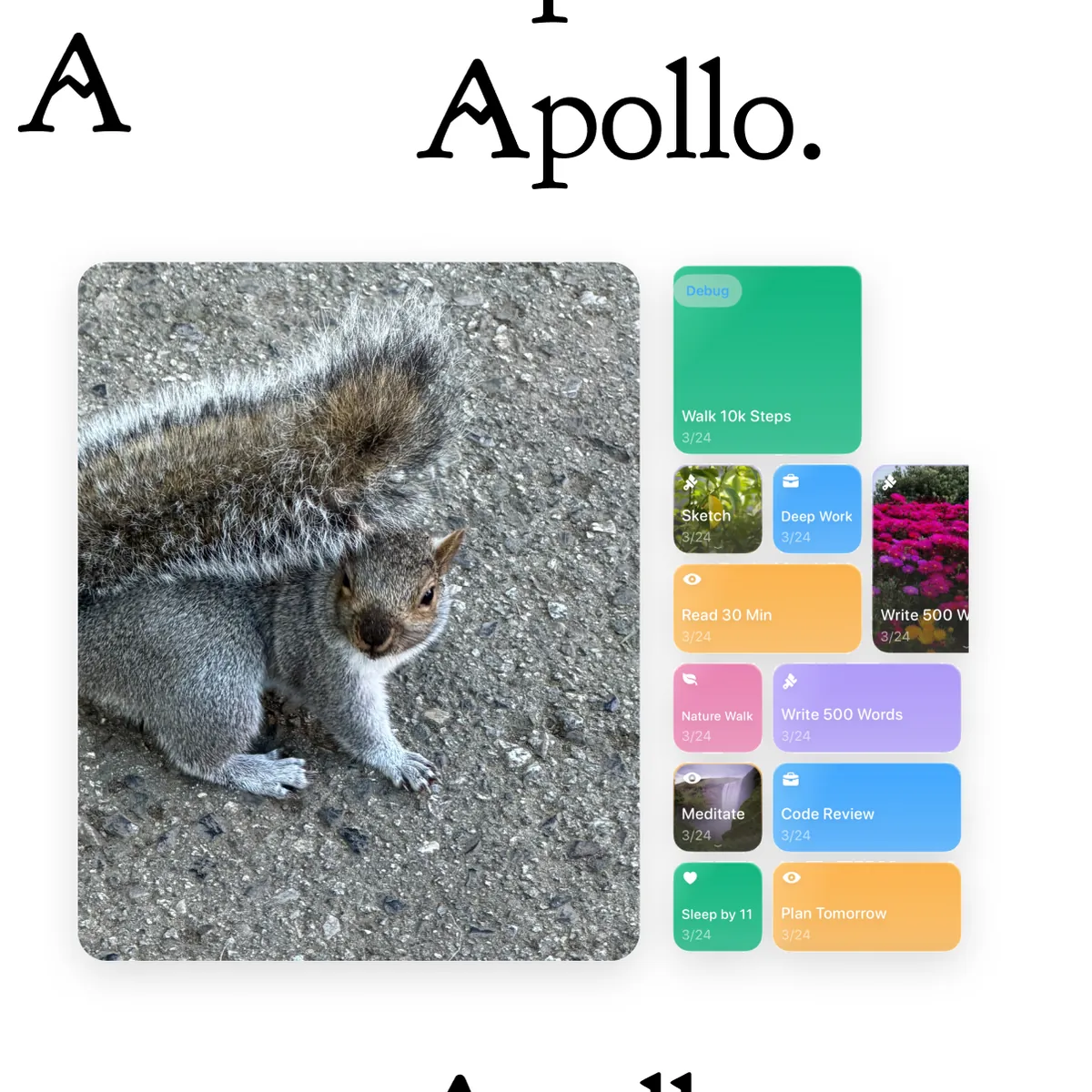 A working collage: Apollo wordmark studies beside a squirrel photo and Strata’s habit blocks
